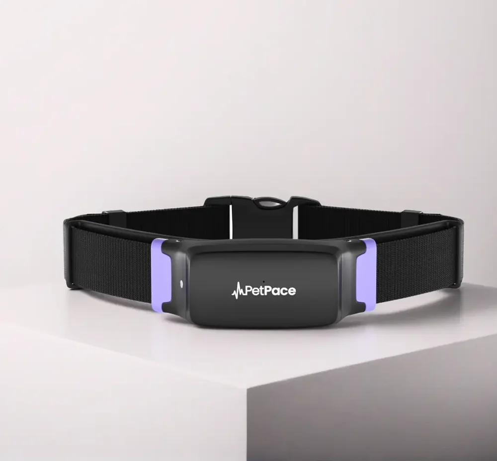PetPace 3.0 - Manufacturer product photograph of PetPace 3.0.